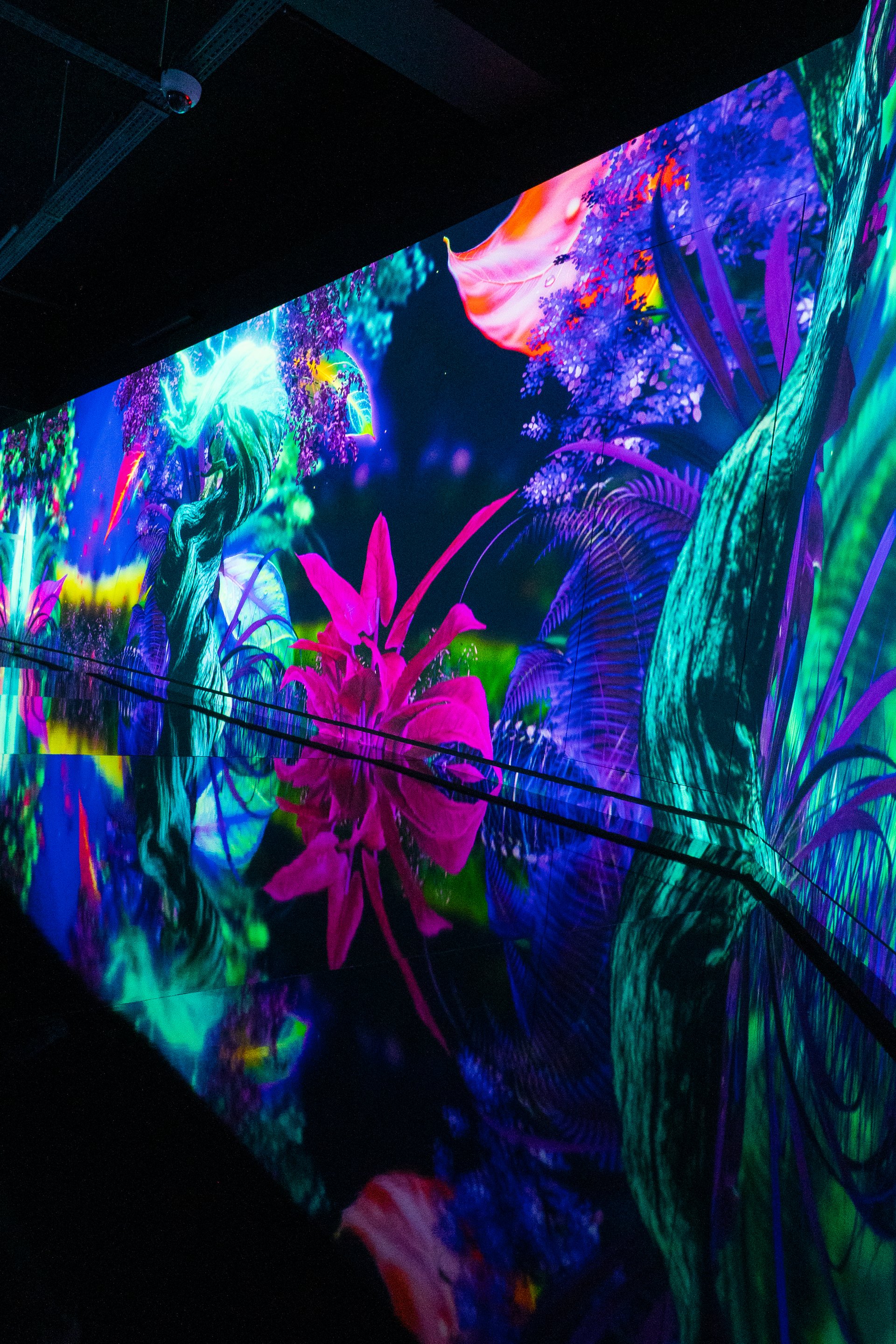 Floresta Utópica · Flora projetada em escala, na parede e no reflexo