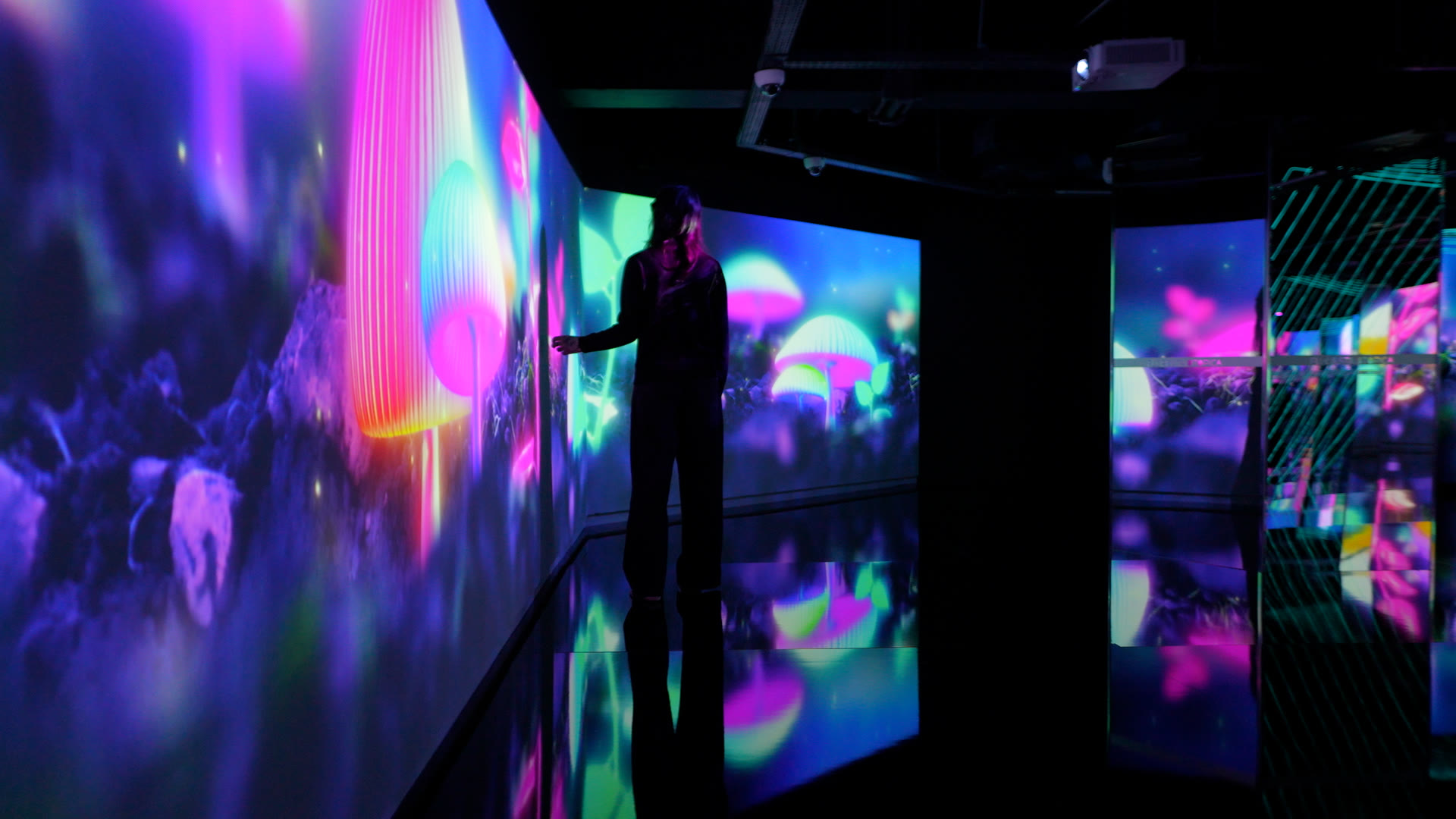 Floresta Utópica — 3